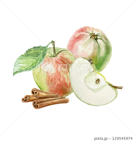 Apples and cinnamon, watercolor. Juicy fruits whole and slice, aromatic spice sticks. Hand drawn vector clip art for food and cosmetic labels, for menu design. 129545974
