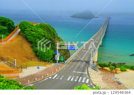 霧の角島大橋 2167 129546364