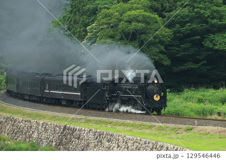 SLやまぐち号 D51 2289 SLやまぐち号 D51 2289 129546446
