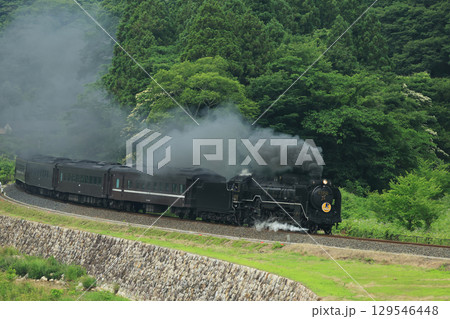 SLやまぐち号 D51 2294 SLやまぐち号 D51 2294 129546448
