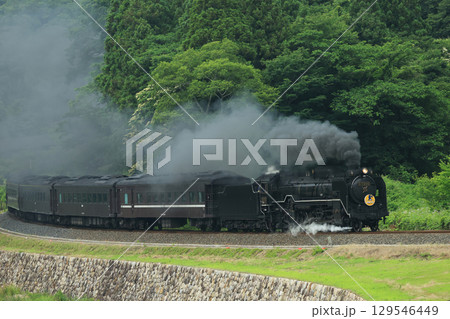 SLやまぐち号　D51  2294- 129546449