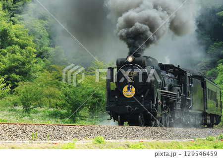 SLやまぐち号 D51 2684 SLやまぐち号 D51 2684 129546459