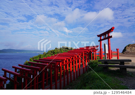 赤い鳥居　　元乃隅神社350 129546484