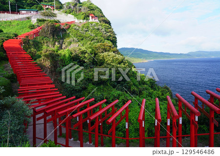 赤い鳥居 元乃隅神社353 赤い鳥居 元乃隅神社353 129546486