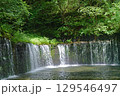 白糸の滝 129546497