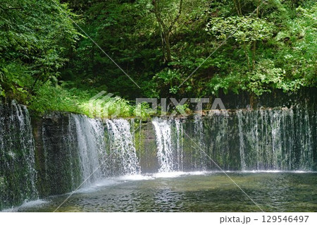 白糸の滝 白糸の滝 129546497