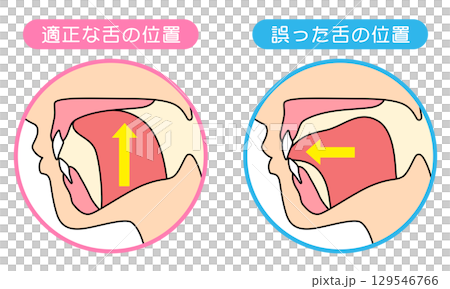如何正確喵喵叫：正確且不正確的舌頭位置 129546766