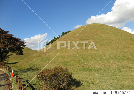 韓国の古都、慶州：多くの密集した古墳が残る歴史地区「大陵苑」 129546774
