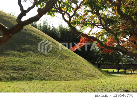 韓国の古都、慶州：多くの密集した古墳が残る歴史地区「大陵苑」 129546776