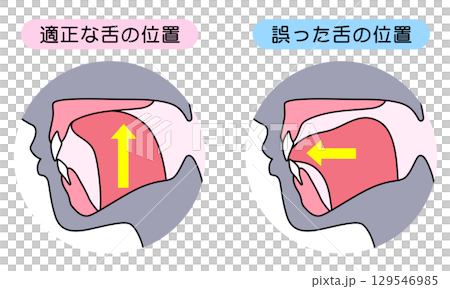 如何正確喵喵叫：正確且不正確的舌頭位置 129546985