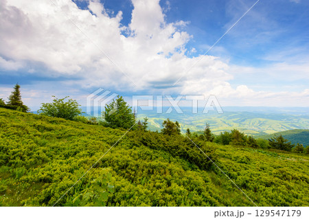 scenic summer landscape with green hill and cloudy sky. view from the slope in to the valley. countryside vacation in carpathian mountains 129547179