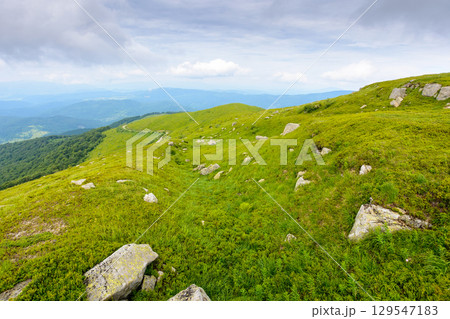 beautiful nature in mountain of ukraine on a cloudy day. hiking environment with rock and grass on the hills. view from the top in to the distant valley 129547183