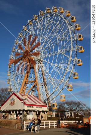 観覧車 129547219
