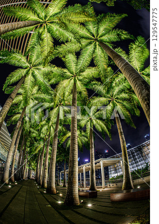 シンガポール・マリーナベイの夜の遊歩道 129547775