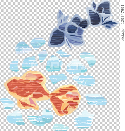 兩條金魚游泳的向量圖 129547991