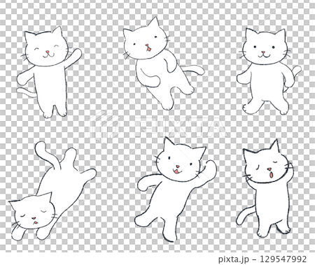 各種表情的白貓姿勢合輯 129547992