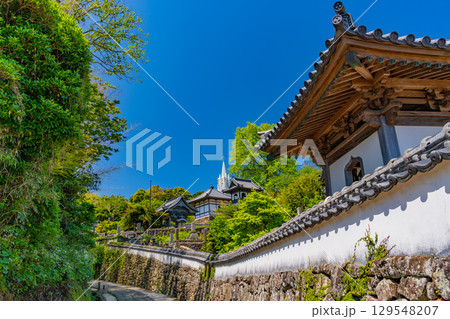 【長崎県平戸島】寺院と教会の見える道 129548207