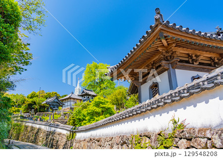 【長崎県平戸島】寺院と教会の見える道 129548208