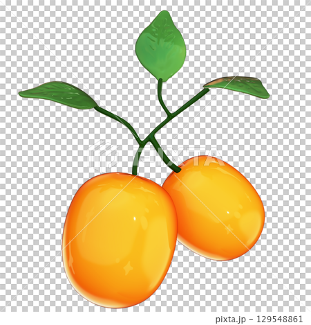 Realistic 3D Two Kumquat Fruits with Leaves Isolated with Transparent Background 129548861