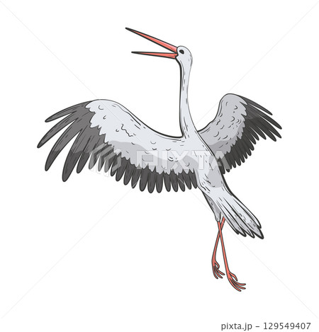 Crane bird in realistic style, high quality detail. Vector illustration 129549407