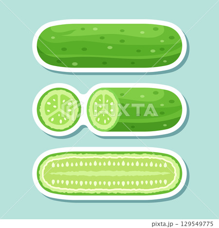 Cucumber vegetable sticker icon set collection in flat style. Gherkin plant vector illustration on isolated background. Healthy food sign business concept. Cucumber vegetable sticker icon set collection in flat style. Gherkin plant vector illustration on isolated background. Healthy food sign business concept. 129549775