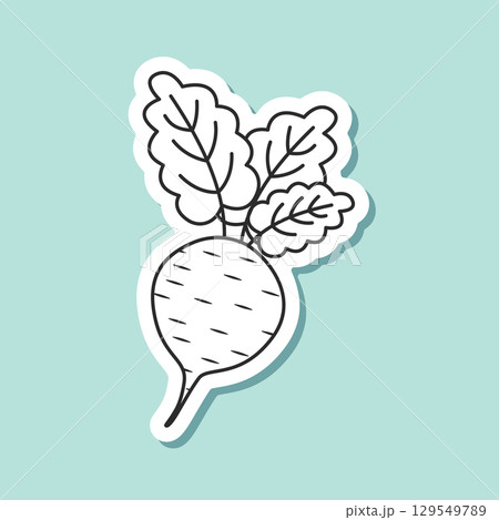 Beetroot vegetable with leaves sticker icon in flat style. Beet plant vector illustration on isolated background. Healthy food sign business concept. 129549789