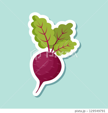 Beetroot vegetable with leaves sticker icon in flat style. Beet plant vector illustration on isolated background. Healthy food sign business concept. 129549791