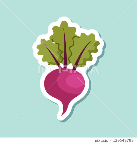 Beetroot vegetable with leaves sticker icon in flat style. Beet plant vector illustration on isolated background. Healthy food sign business concept. 129549795