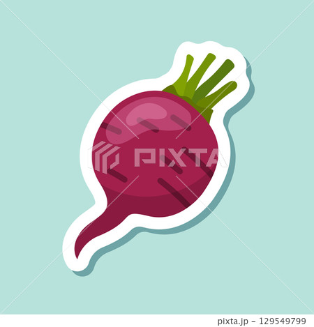 Beetroot vegetable with leaves sticker icon in flat style. Beet plant vector illustration on isolated background. Healthy food sign business concept. 129549799