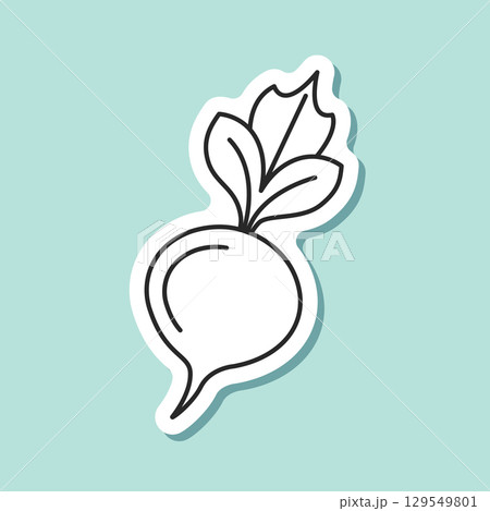Beetroot vegetable with leaves sticker icon in flat style. Beet plant vector illustration on isolated background. Healthy food sign business concept. 129549801