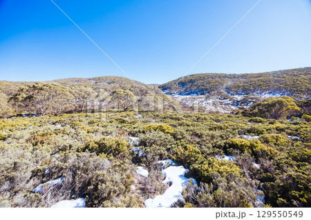 Mt St Gwinear in Baw Baw Australia 129550549