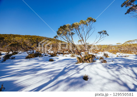 Phillack Saddle in Baw Baw Australia 129550581