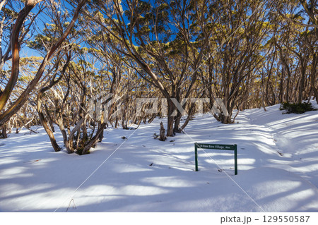 Phillack Saddle in Baw Baw Australia Phillack Saddle in Baw Baw Australia 129550587