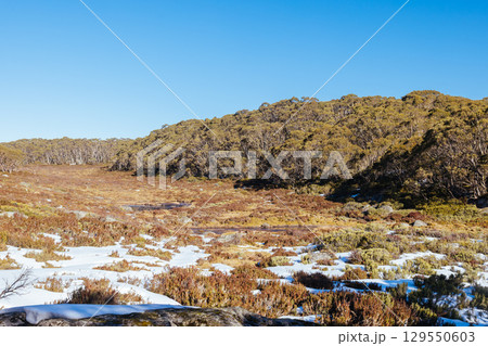 Mt St Gwinear in Baw Baw Australia Mt St Gwinear in Baw Baw Australia 129550603