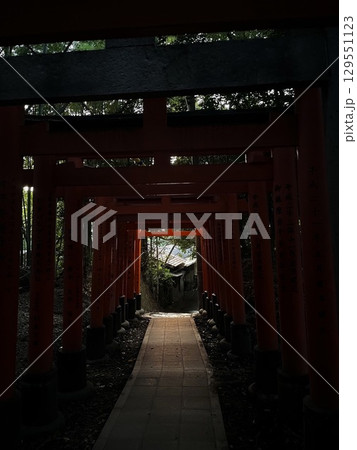 赤い鳥居 赤い鳥居 129551123