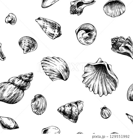 Minimalistic seamless pattern with assorted seashells in monochrome, hand drawn line art illustration in black ink, perfect for marine themed textile, wrapping and background designs. 129551992