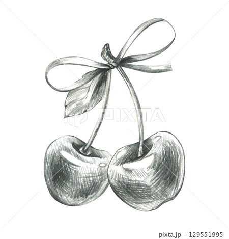 Cherries with decorative bow tied on stem in monochrome pencil style, hand drawn line art illustration in grey graphite, perfect for festive food decor, labels, packaging and kitchen design. 129551995