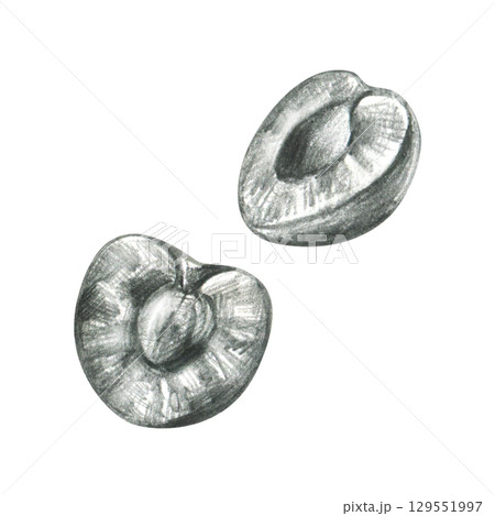 Two halved cherries showing seed and inner texture, hand drawn line art illustration in grey graphite pencil, ideal for culinary design, fruit icons, packaging labels and decorative elements. 129551997
