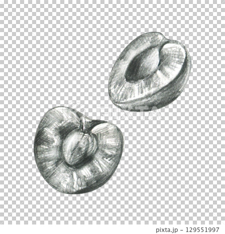Two halved cherries showing seed and inner texture, hand drawn line art illustration in grey graphite pencil, ideal for culinary design, fruit icons, packaging labels and decorative elements. 129551997