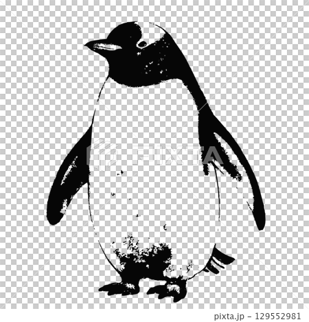 ビンテージ風の手描きのペンギン 129552981