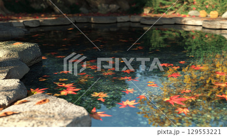 池に浮かぶ紅葉の葉と石の風景 池に浮かぶ紅葉の葉と石の風景 129553221