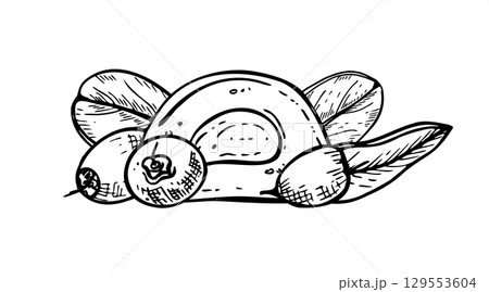 Berry halved mochi rice cake vector isolated illustration. Japanese daifuku with cranberries etching drawing. Cutting wagashi with creamy for dessert packaging, vegan food decor, confectionery design 129553604