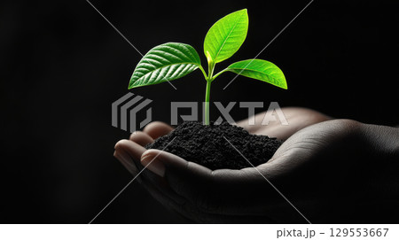 Hands holding a small plant with soil against a black background, symbolizing growth, nurturing, and new beginnings Hands holding a small plant with soil against a black background, symbolizing growth, nurturing, and new beginnings 129553667