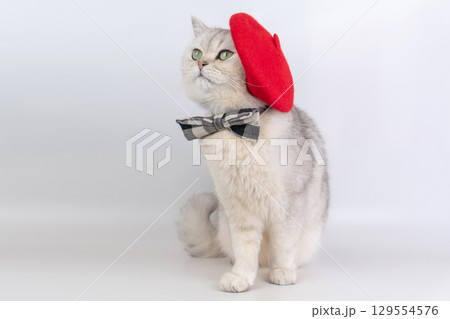 Charming cat with red beret and bow tie . 129554576