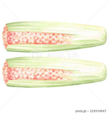 Fresh and vibrant food illustration of sliced celery showcasing its texture clipart isolated on transparency background 129554647