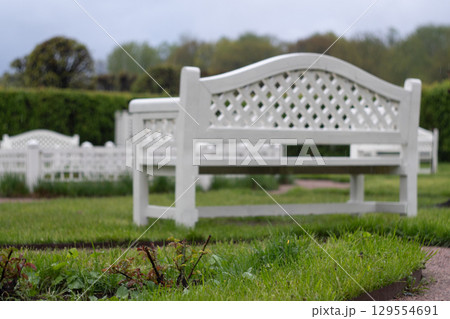 White wooden benches in peaceful garden setting with greenery and pathways White wooden benches in peaceful garden setting with greenery and pathways 129554691