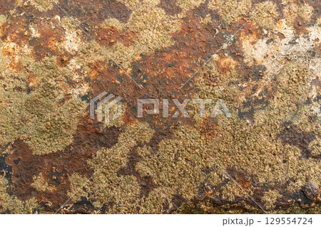 Close-up of rusty corroded metal with varied textures and colors 129554724