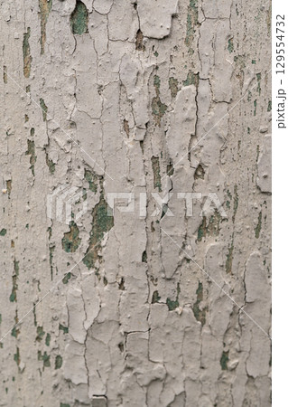 Weathered peeling paint on wood surface showing green underlayer 129554732
