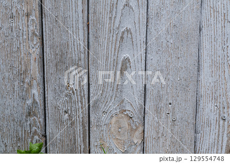 Weathered gray wooden fence with visible grain and knots Weathered gray wooden fence with visible grain and knots 129554748