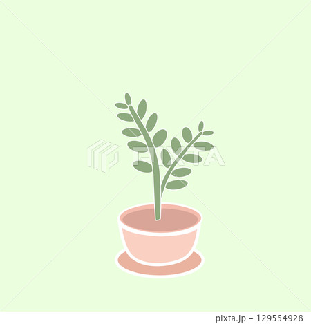 Minimalist potted plant on light green background 129554928